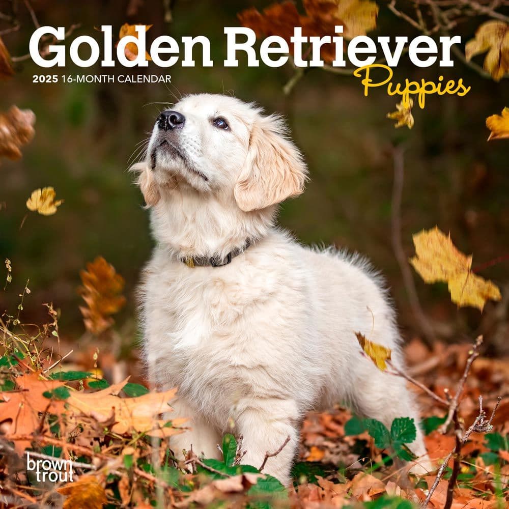 Golden Retriever Puppies 2025 Mini Wall Calendar Main Image