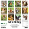 image Squirrels 2025 Wall Calendar