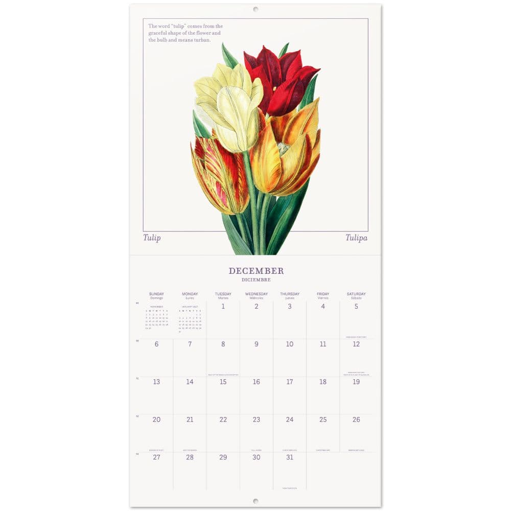Botany Flowers 2026 Wall Calendar Second Alternate Image