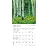image Rocky Mountain Wilderness 2024 Mini Wall Calendar Second Alternate  Image width=&quot;1000&quot; height=&quot;1000&quot;