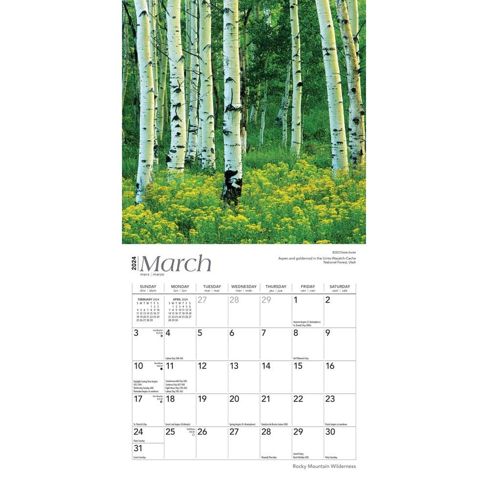 Rocky Mountain Wilderness 2024 Mini Wall Calendar Second Alternate  Image width=&quot;1000&quot; height=&quot;1000&quot;