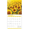 image Sunflowers 2024 Wall Calendar Alternate Image 2