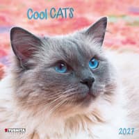 image Cool Cats 2027 Wall Calendar Main Product Image