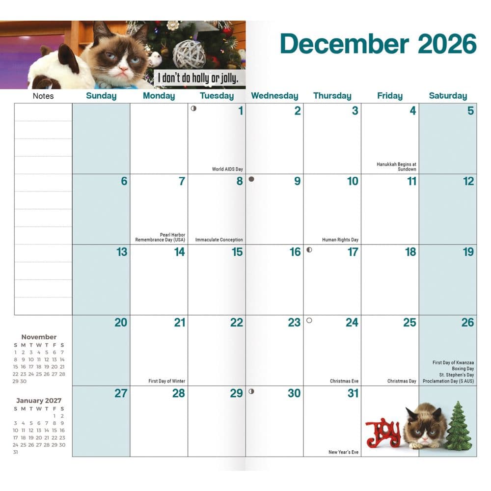 Grumpy Cat 2 Year 2026 Pocket Planner Third Alternate Image