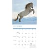 image Horses 2025 Wall Calendar Fourth Alternate Image width=&quot;1000&quot; height=&quot;1000&quot;