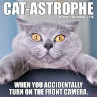 image Cat Astrophe 2026 Wall Calendar Main Image
