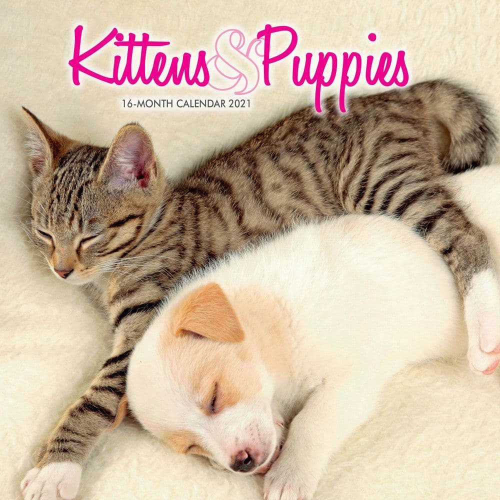 Kittens & Puppies Mini Wall Calendar