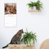 image Cats and Kittens 2025 Wall Calendar Second Alternate Image width=&quot;1000&quot; height=&quot;1000&quot;
