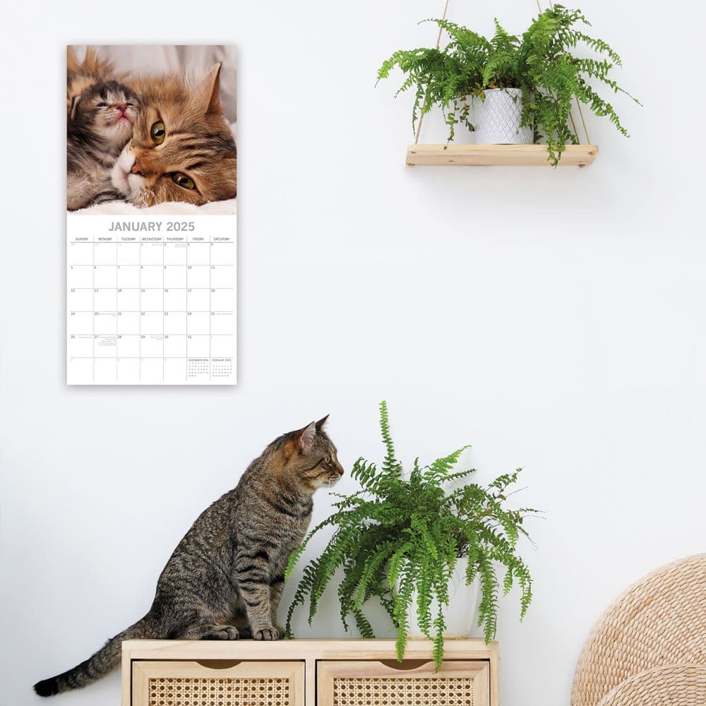Cats and Kittens 2025 Wall Calendar Second Alternate Image width=&quot;1000&quot; height=&quot;1000&quot;