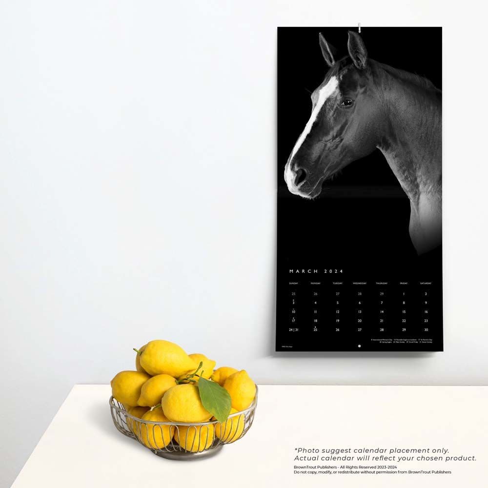 Horse Noble Portrait Series 2024 Wall Calendar Alternate Image 3