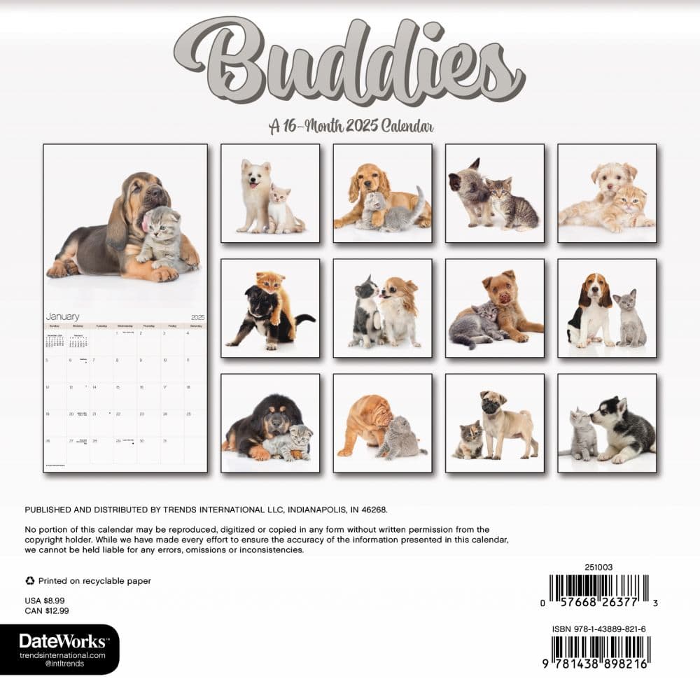 Buddies 2025 Mini Wall Calendar Third Alternate Image width=&quot;1000&quot; height=&quot;1000&quot;