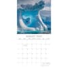 image Antarctica 2025 Wall Calendar Third Alternate Image width=&quot;1000&quot; height=&quot;1000&quot;