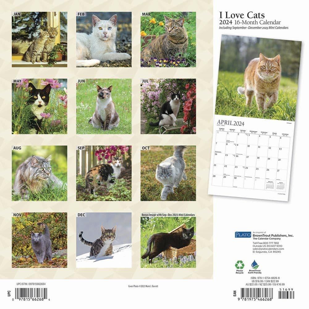 I Love Cats 2024 Wall Calendar - Calendars.com
