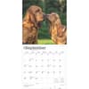 image Bloodhounds 2025 Wall Calendar