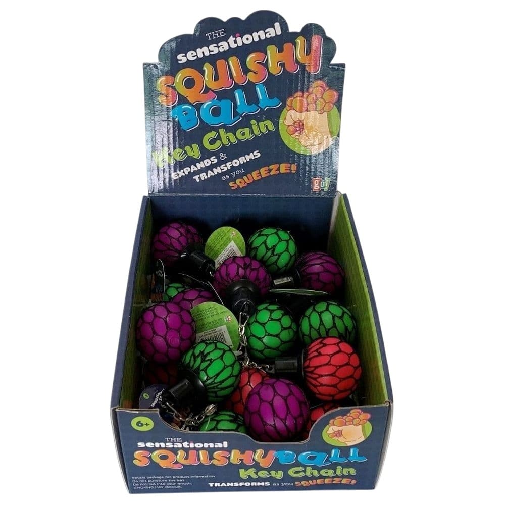 image Mesh Squishy Ball Keychain Assortment Main Product Image