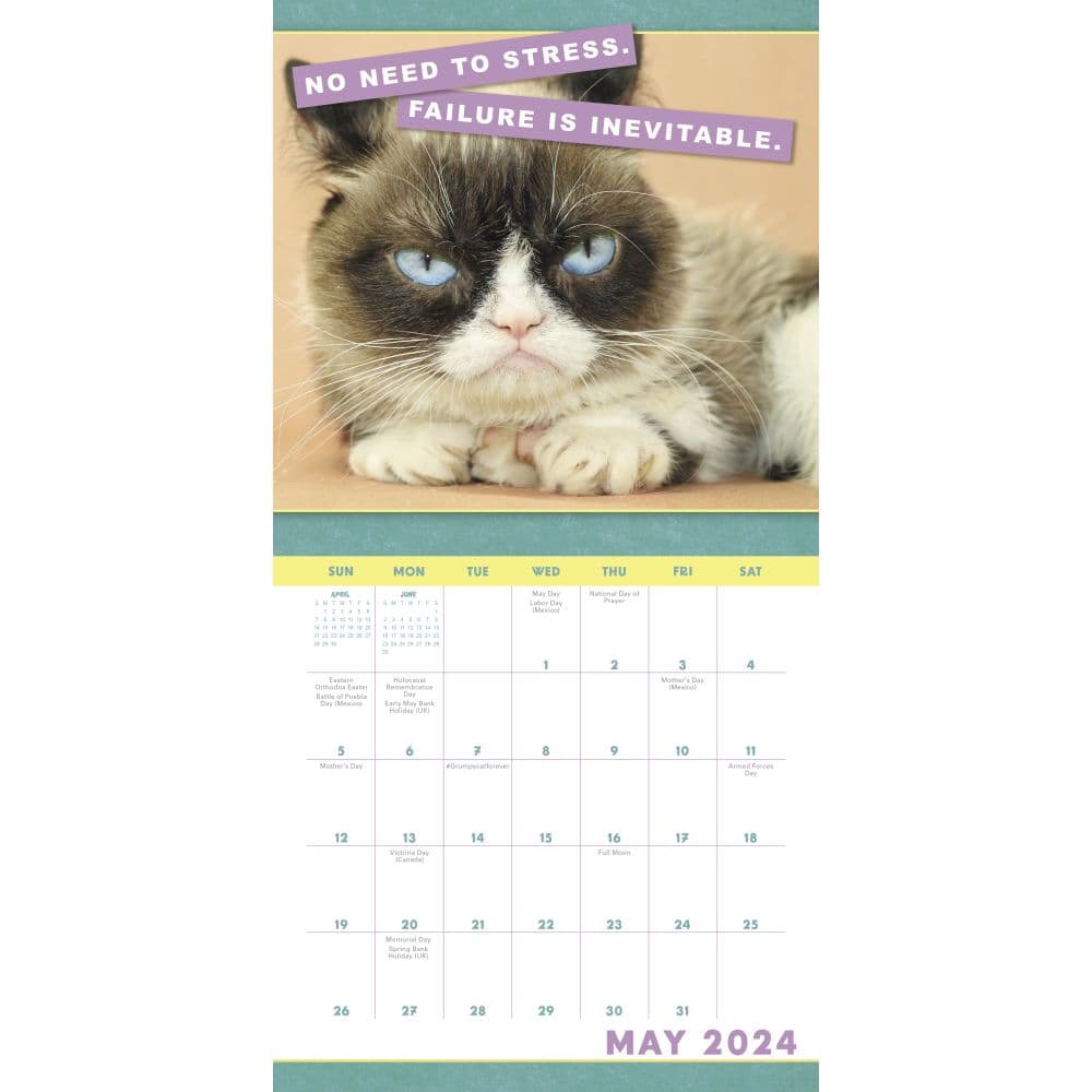 Grumpy Cat 2024 Mini Wall Calendar Fourth Alternate Image width=&quot;1000&quot; height=&quot;1000&quot;