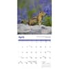 image Squirrels 2025 Wall Calendar Second Alternate Image width=&quot;1000&quot; height=&quot;1000&quot;