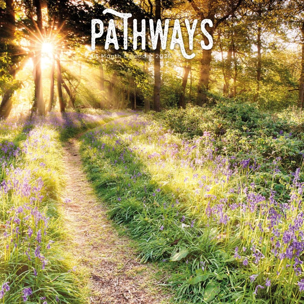 Pathways Special Value 2026 Wall Calendar  Main Image