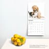 image Kittens and Puppies 2025 Wall Calendar Fourth Alternate Image