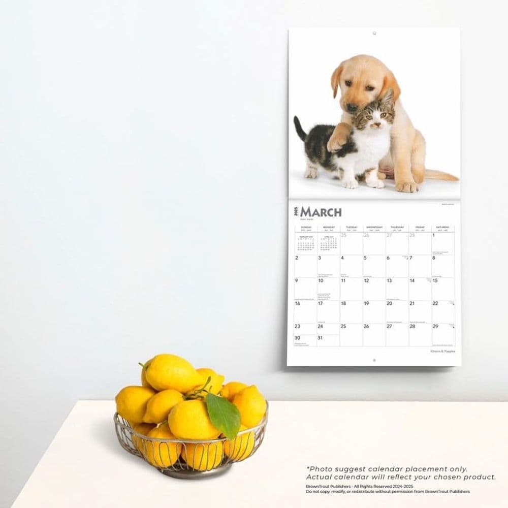 Kittens and Puppies 2025 Wall Calendar Fourth Alternate Image