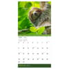 image Sloths 2025 Wall Calendar Second Alternate Image