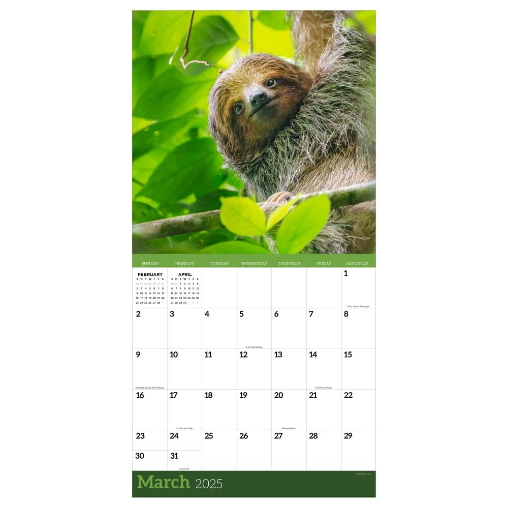 Sloths 2025 Wall Calendar Second Alternate Image