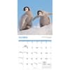 image Baby Animals 2025 Mini Wall Calendar Fourth Alternate Image width=&quot;1000&quot; height=&quot;1000&quot;