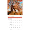 image Trees 2025 Wall Calendar Fourth Alternate Image width=&quot;1000&quot; height=&quot;1000&quot;