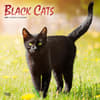 image Cats Black 2025 Wall Calendar Main Image