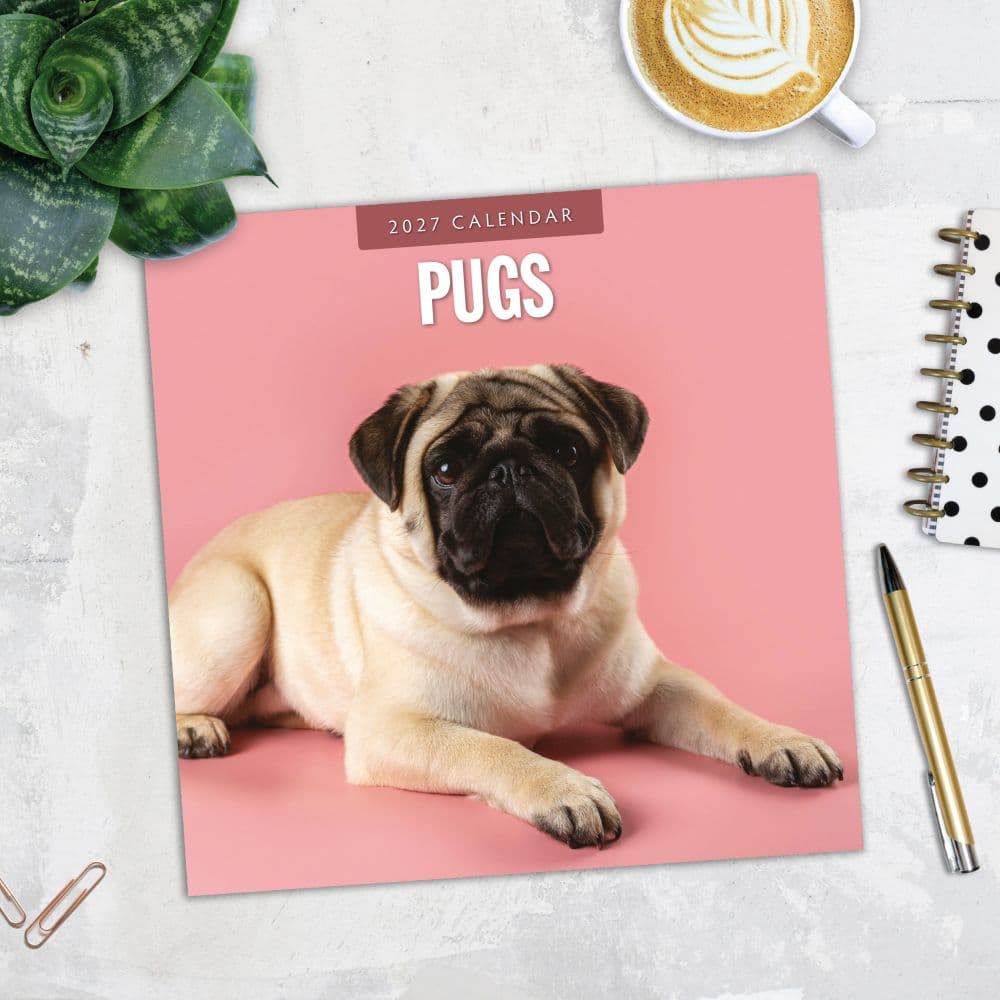 Pugs 2027 Wall Calendar Fourth Alternate Image
