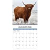 image Highland Cows Photo 2026 Wall Calendar