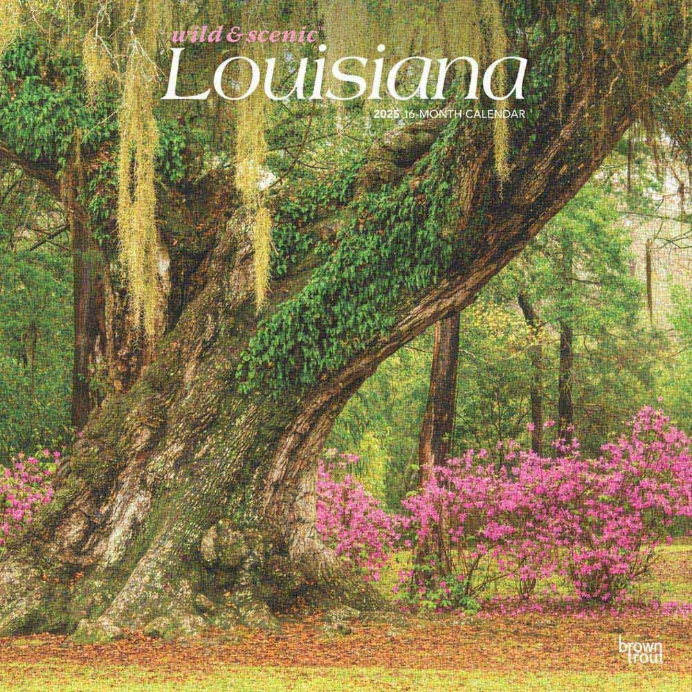 image Louisiana Wild and Scenic 2025 Wall Calendar Main Image