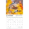image Birds Backyard WWF 2026 Wall Calendar Fourth Alternate Image