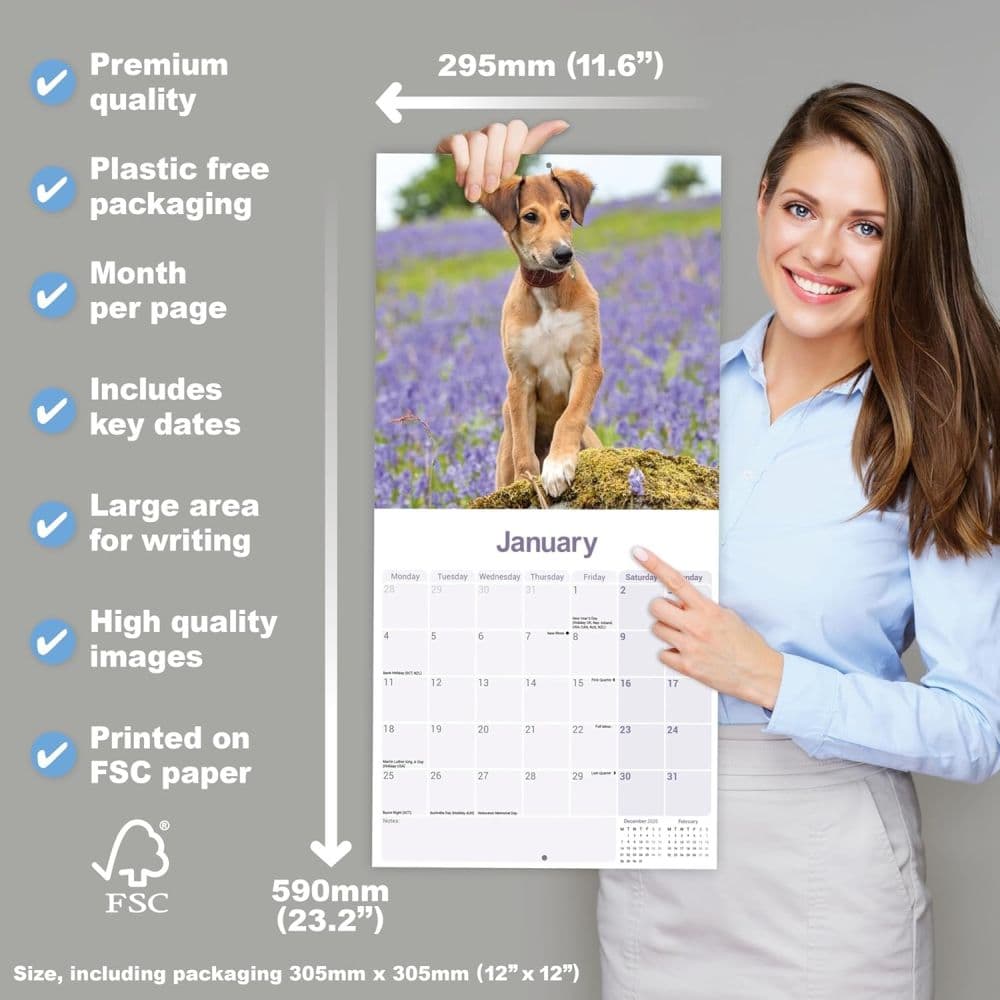 Lurcher 2027 Wall Calendar Fifth Alternate Image