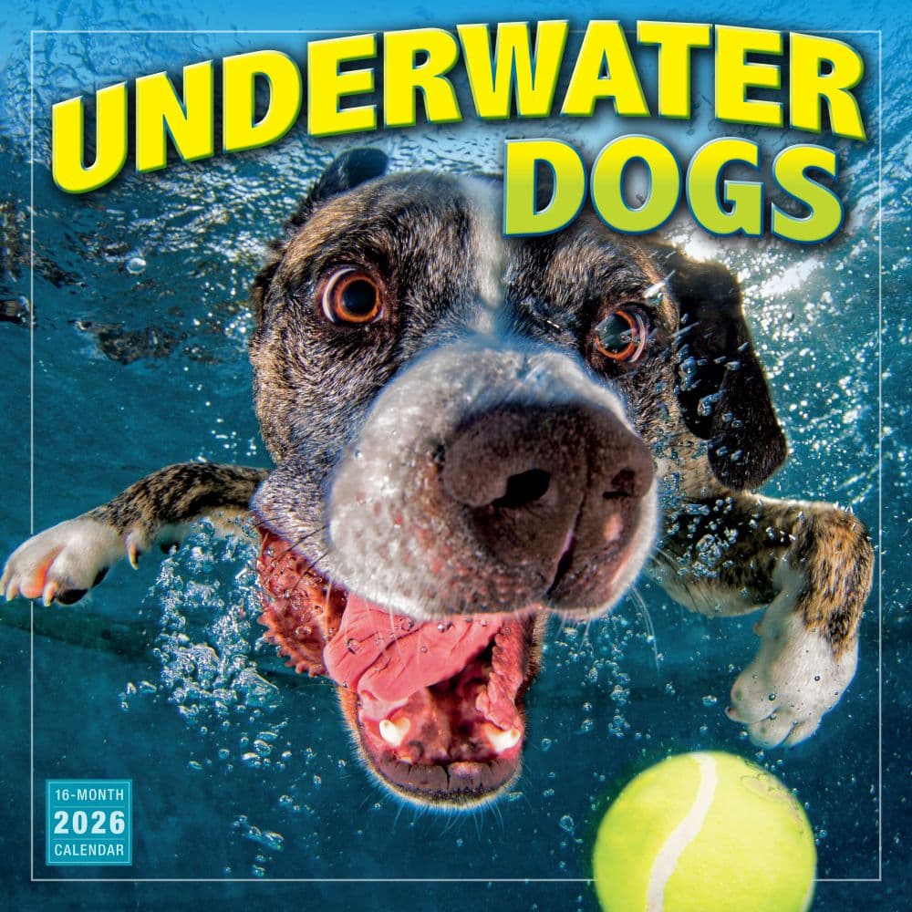 Underwater Dogs 2026 Wall Calendar_Main Image
