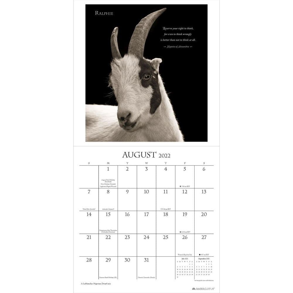 i am goat 2022 wall calendar calendarscom