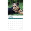 image Airedale Terriers 2024 Wall Calendar Second Alternate Image width=&quot;1000&quot; height=&quot;1000&quot;