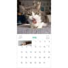 image Cats on Catnip 2026 Wall Calendar Third Alternate Image