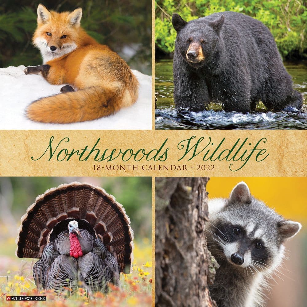Northwoods Wildlife 2022 Wall Calendar