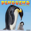 image Penguins 2025 Wall Calendar Main Product Image width=&quot;1000&quot; height=&quot;1000&quot;