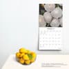 image Magic Mushrooms 2025 Wall Calendar Fourth Alternate Image