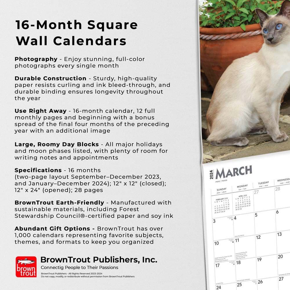 Cats Siamese 2024 Wall Calendar Calendars