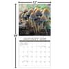 image Mushroom Photo 2026 Wall Calendar