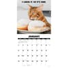 image Cat Chat 2026 Wall Calendar Second Alternate Image
