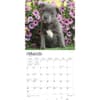 image Staffordshire Bull Terrier Puppies 2024 Wall Calendar Second Alternate Image width=&quot;1000&quot; height=&quot;1000&quot;