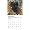 image Black Cats 2024 Wall Calendar Second Alternate Image width=&quot;1000&quot; height=&quot;1000&quot;