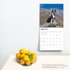 image Boston Terriers 2024 Wall Calendar Third Alternate Image width=&quot;1000&quot; height=&quot;1000&quot;