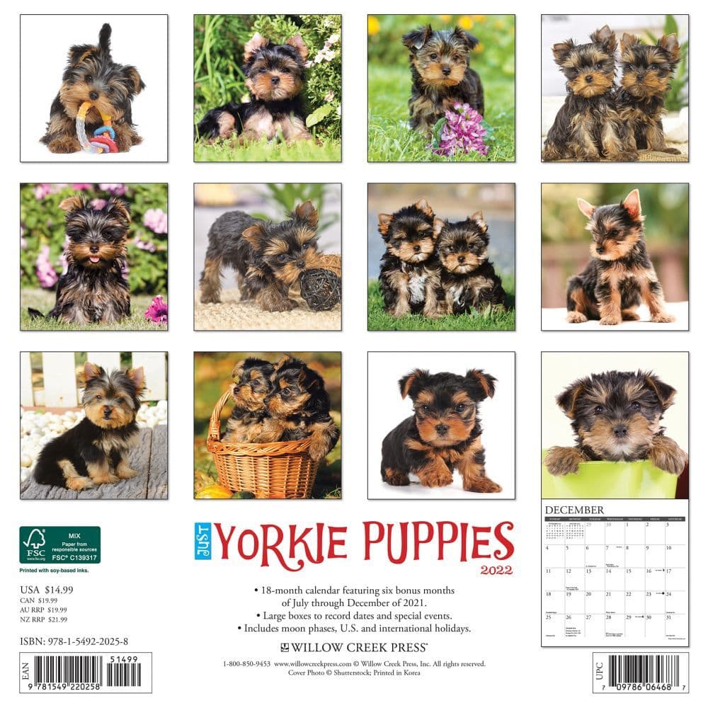 Yorkshire Terrier Calendar 2022 Dog Slimline SLIM 15% OFF MULTI ORDERS! 