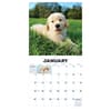 image Puppies 2025 Wall Calendar Second Alternate Image