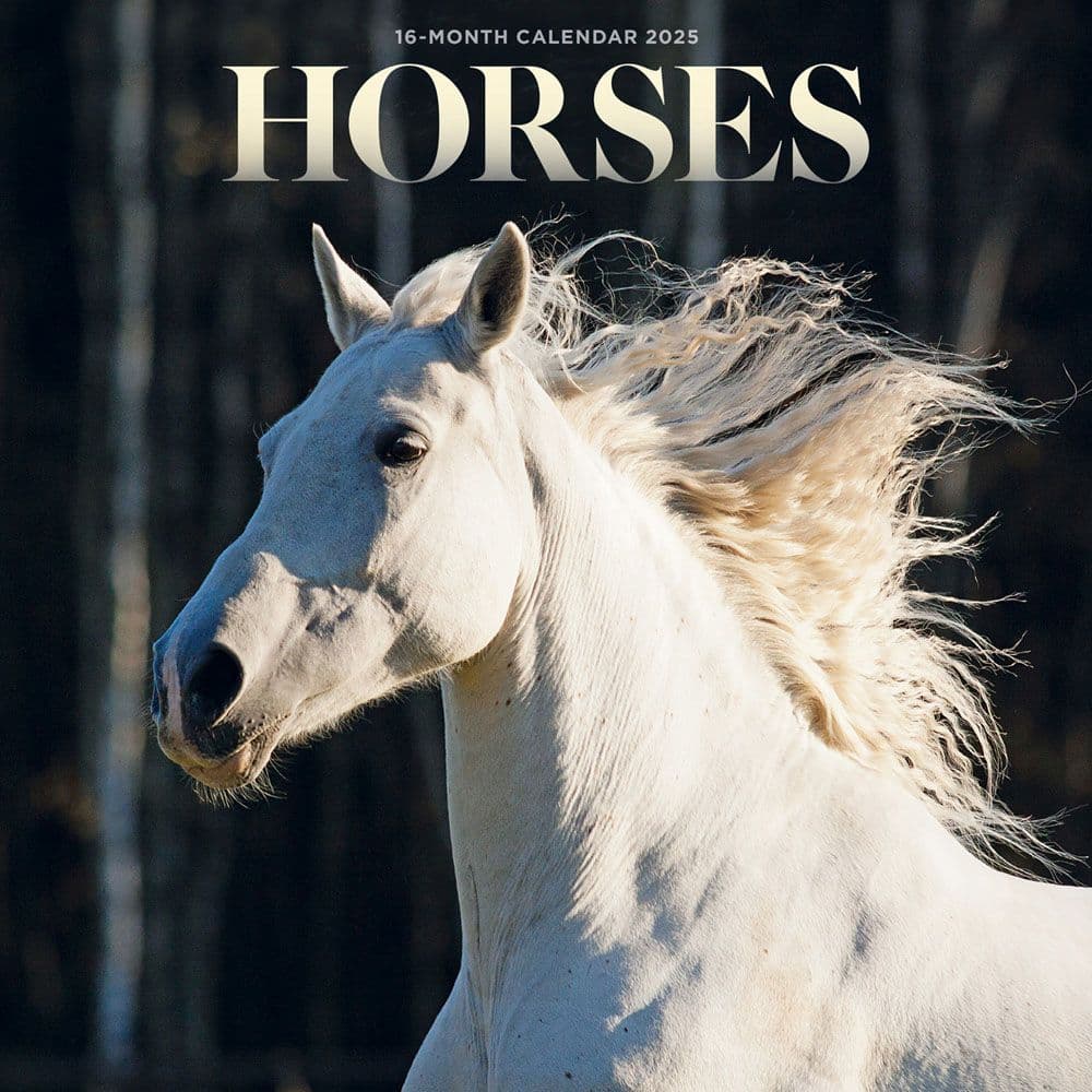 image Horses 2025 Mini Wall Calendar  Main Image